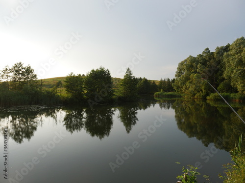 reflection of trees in the river on a Sunny day