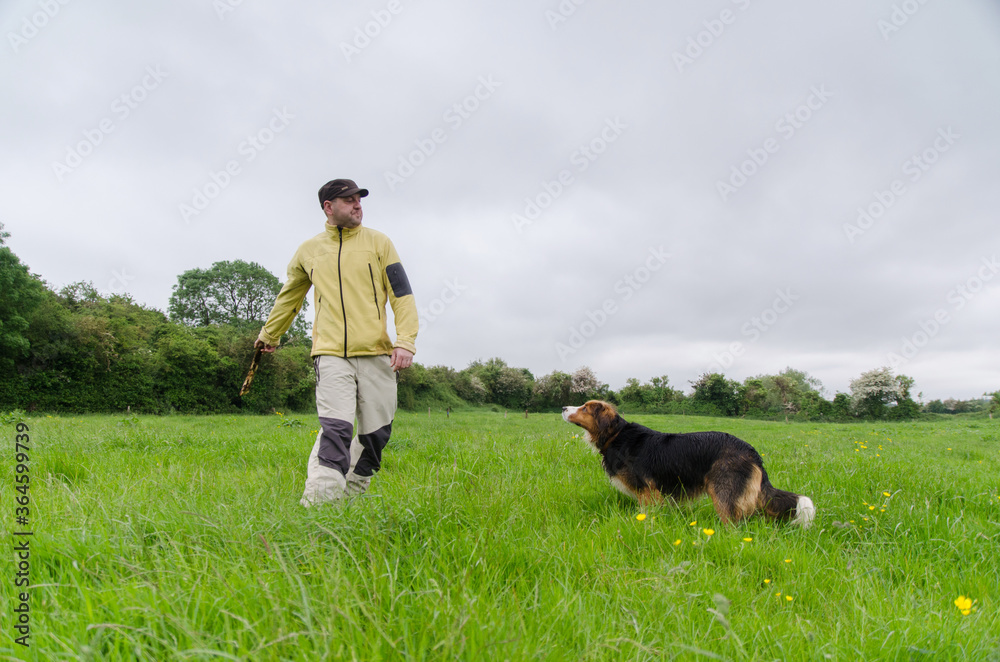 adult man throws a stick to a dog on a green field