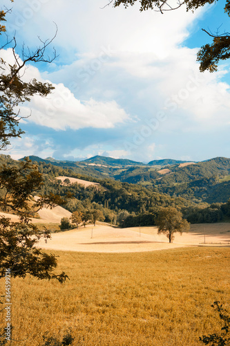 Beautiful rural landscape in spring  view of hills