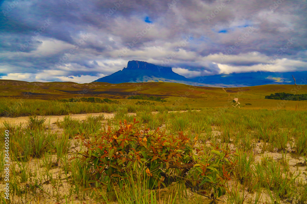 Fototapeta premium Trekking, camping, aventura, natureza, montanha.
