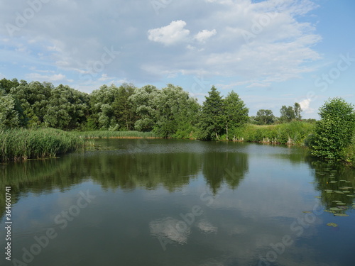 river and forest around. Lots of grass