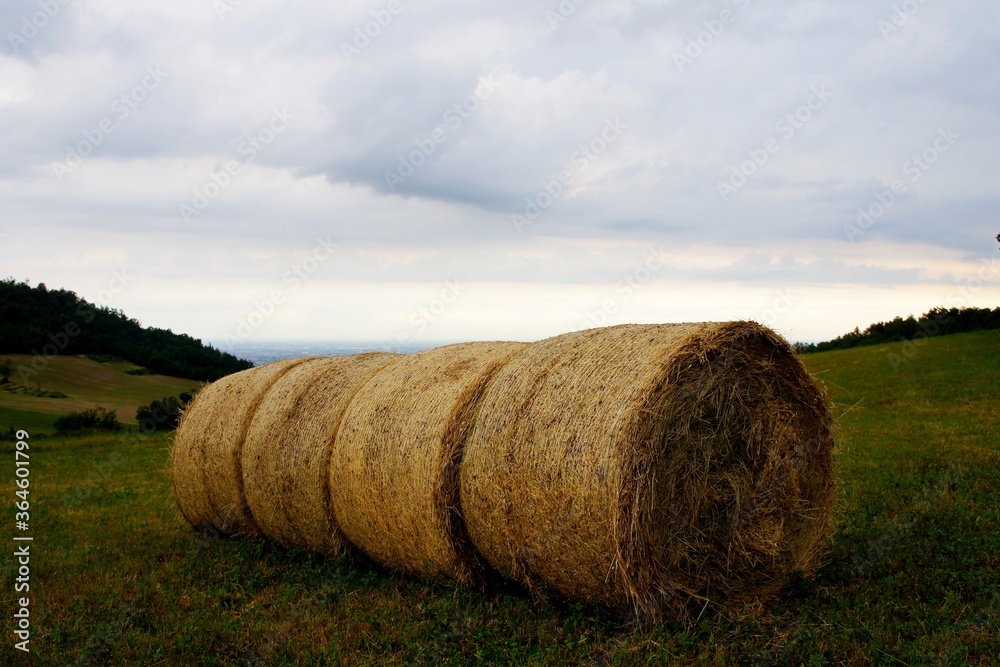 hay bales on the field in the evening sky hay bales on the field in the evening sky