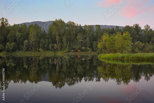 Fototapeta Naklejka Na Ścianę i Meble -  Calm summer morning on the river. The coastline with lush vegetation, which is reflected in the water.