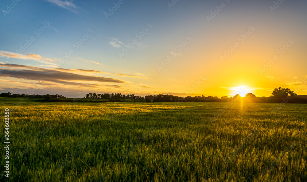 Beautiful Sunset on the field in Catalonya, Spain, Europe