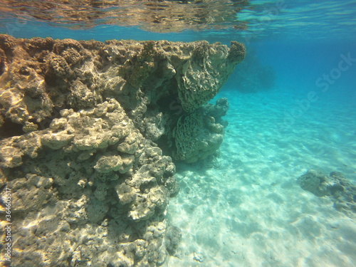 Récif de corail du lagon bleu à Rangiroa, Polynésie française