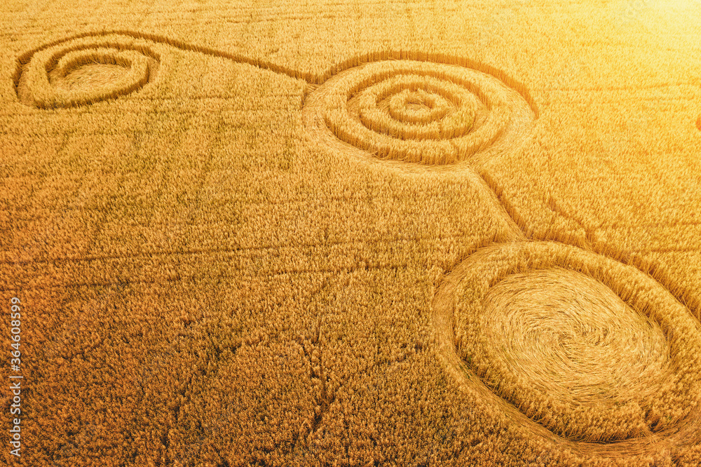 bh Mistillid at tilføje Fake UFO circles on grain crop yellow field, aerial view from drone. Round  geometry shape symbols as alien signs, mystery concept. Stock Photo | Adobe  Stock