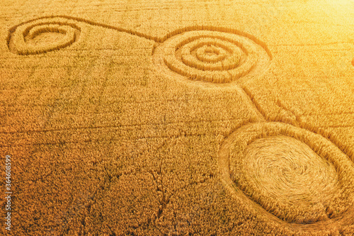 Fake UFO circles on grain crop yellow field, aerial view from drone. Round geometry shape symbols as alien signs, mystery concept.