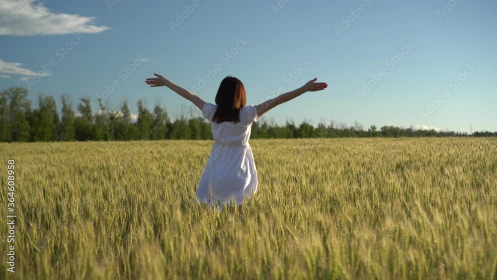 A young woman in a white dress walks on a green wheat field. The girl goes and raises her hands up. Back view. A young woman in a white dress walks on a green wheat field. The girl goes and raises her hands up. Back view.