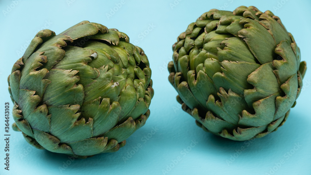 Obraz premium Two fresh green artichokes on an aqua blue background