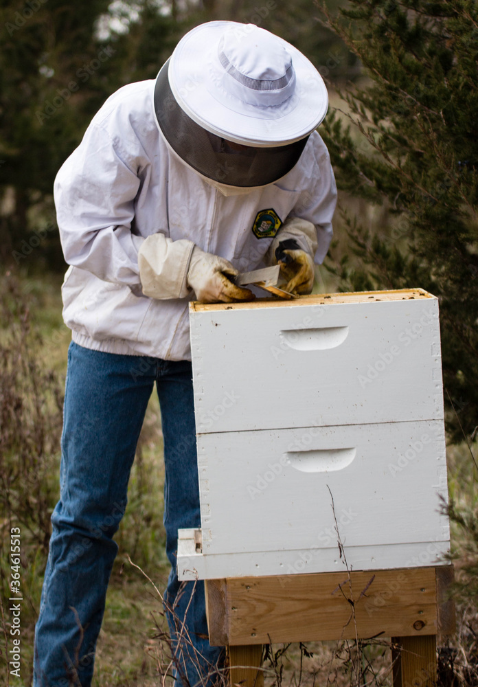 beekeeper working in his apiary beekeeper working in his apiary