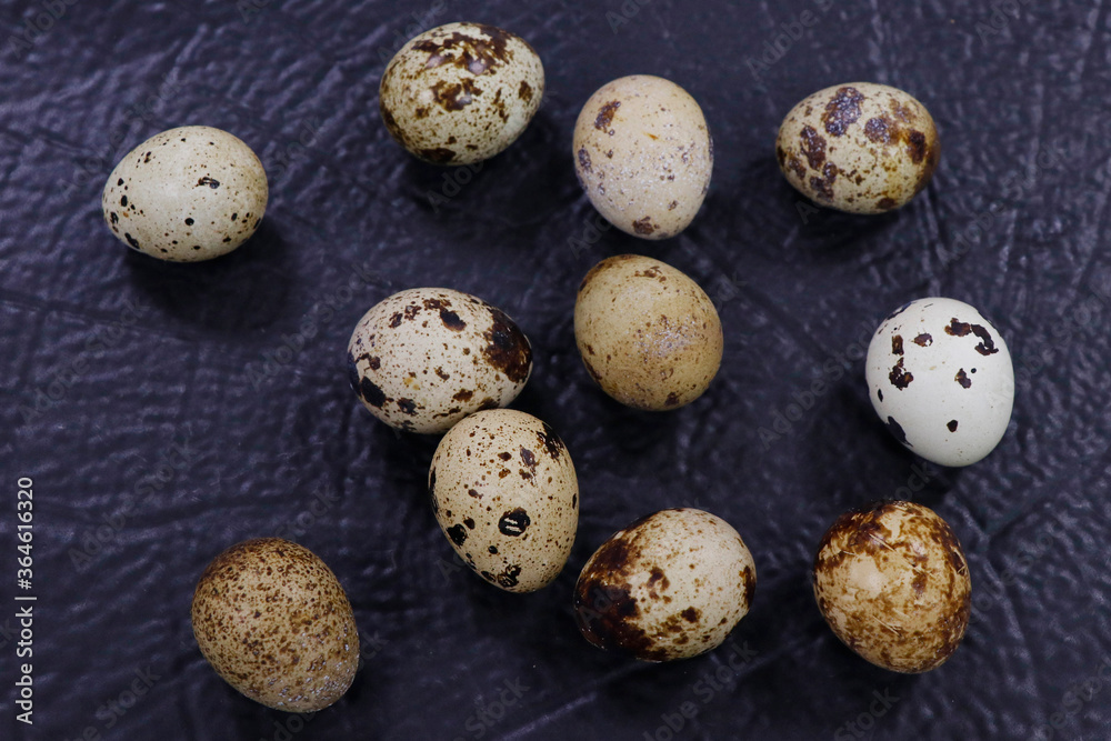 fresh quail eggs isolated on dark black background fresh quail eggs isolated on dark black background