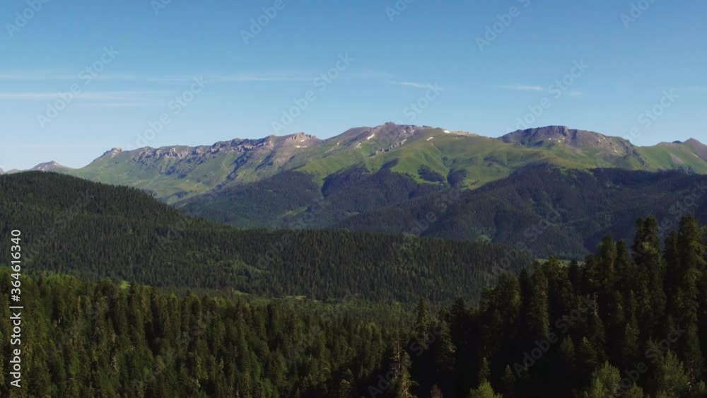 Forest gorge in Caucasian Mountains. Wide open shot from forest rock at high altitude panorama into the distance epic view at summer sunny sunset. Forest gorge in Caucasian Mountains. Wide open shot from forest rock at high altitude panorama into the distance epic view at summer sunny sunset.