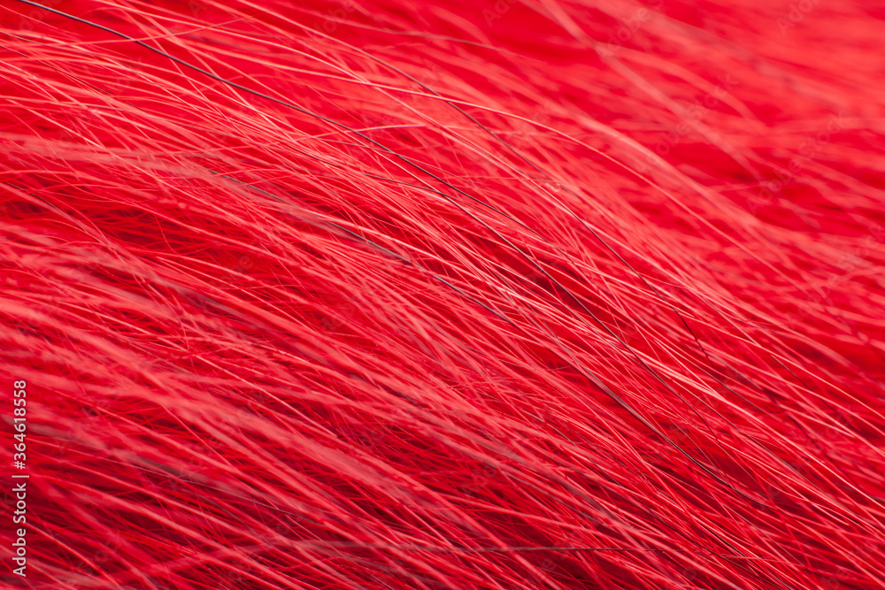 Fototapeta premium Bright red fur close-up, used as a background or texture. Soft focus