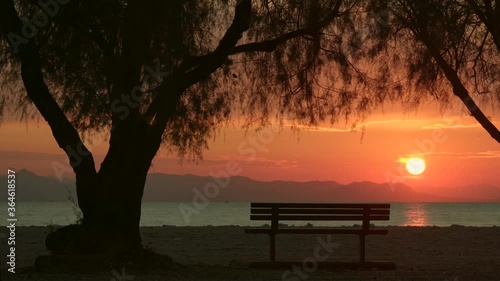 Wallpaper Mural Bench under tree in Palmyra beach at sunset. Public beach in Athens, Greece Torontodigital.ca