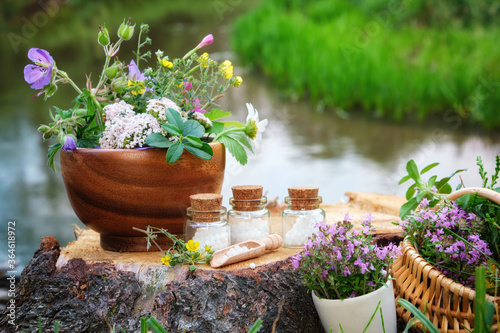 Fotografie Three bottle of homeopathic globules, mortars of medicinal herbs, basket of healing plants on a wooden stump on bank of beautiful forest river outdoors