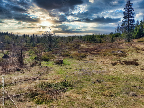 Nature in Black Forest. Germany.Europe © VEOy.com