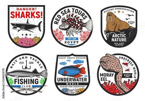 Sea and underwater animals icons, undersea fishes life and ocean world vector signs. Underwater world tours and coral reef oceanarium exhibition museum, fishing club and danger shark signs
