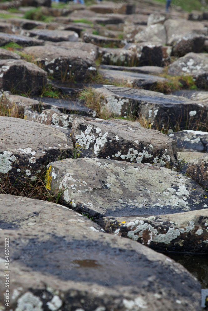 The Giant's Causeway is an area of about 40,000 interlocking basalt columns, the result of an ancient volcanic fissure eruption. It is located in County Antrim on the north coast of Northern Ireland The Giant's Causeway is an area of about 40,000 interlocking basalt columns, the result of an ancient volcanic fissure eruption. It is located in County Antrim on the north coast of Northern Ireland