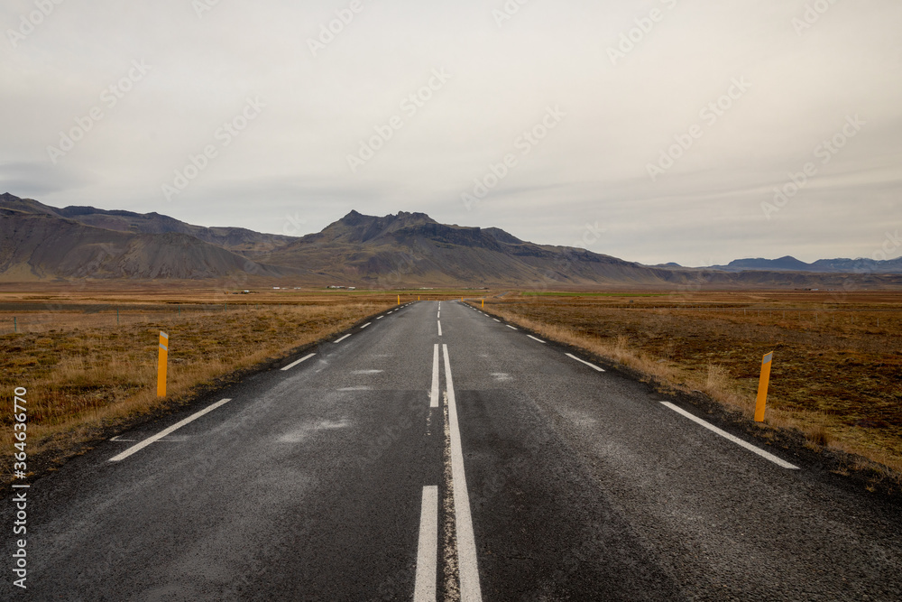 Fototapeta premium road in iceland