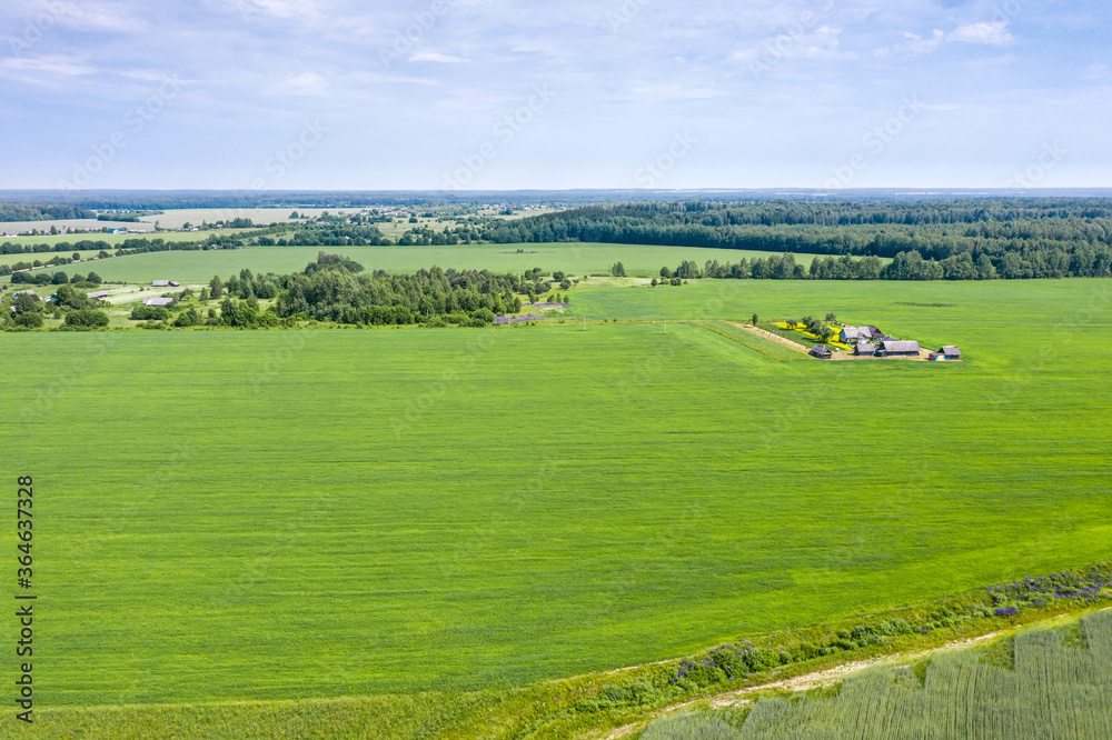 countryside view from above with cultivated fields and farm in summer day under blue sky. aerial photo