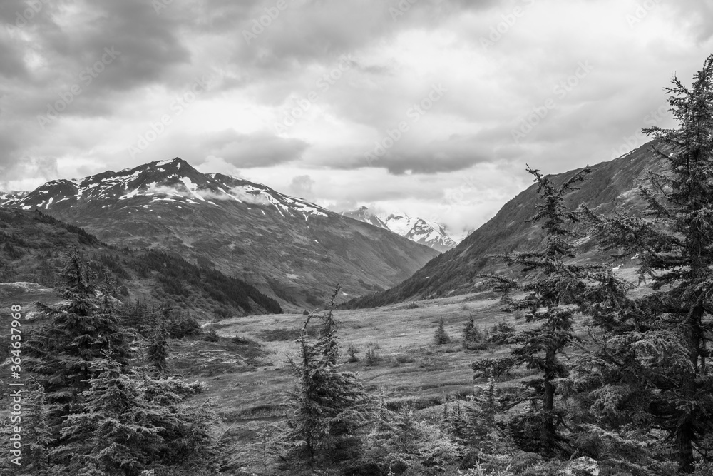 Obraz premium Gloomy day in the mountains