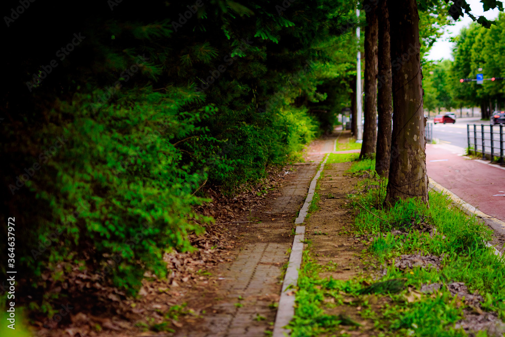 Fototapeta premium A road