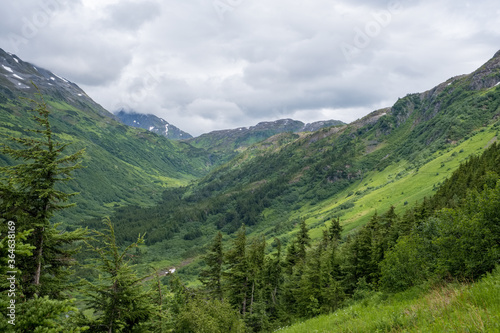 Thick forest on the valley floor