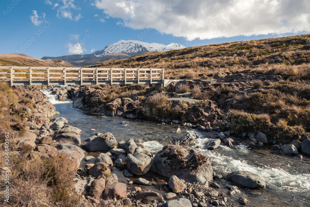 Φωτογραφία wooden bridge across Mahuia River with Mount Ruapehu in distance, Tongariro Nati