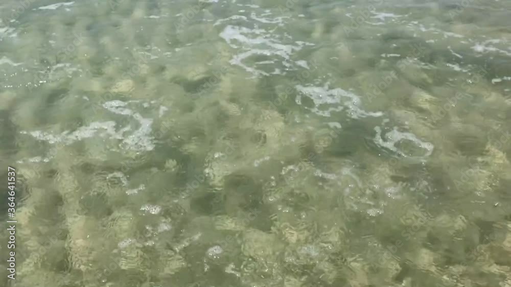 Incoming of longitudinal sea waves in slow motion Incoming of longitudinal sea waves in slow motion