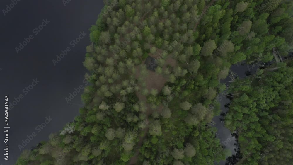 Drone top down view of island with coniferous forest. Drone top down view of island with coniferous forest.