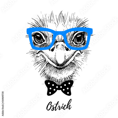 Hand drawn sketch ostrich hipster head illustration. Isolated cute trendy portrait on white background