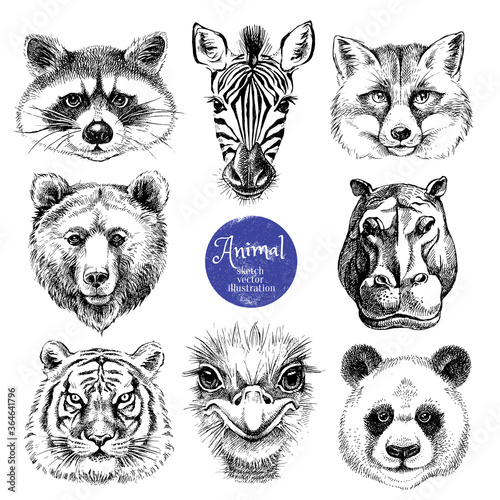 Hand drawn sketch animal heads vector illustration. Isolated cute trendy portraits of fox, raccoon, zebra, hippo, panda, ostrich, tiger, bear on white background