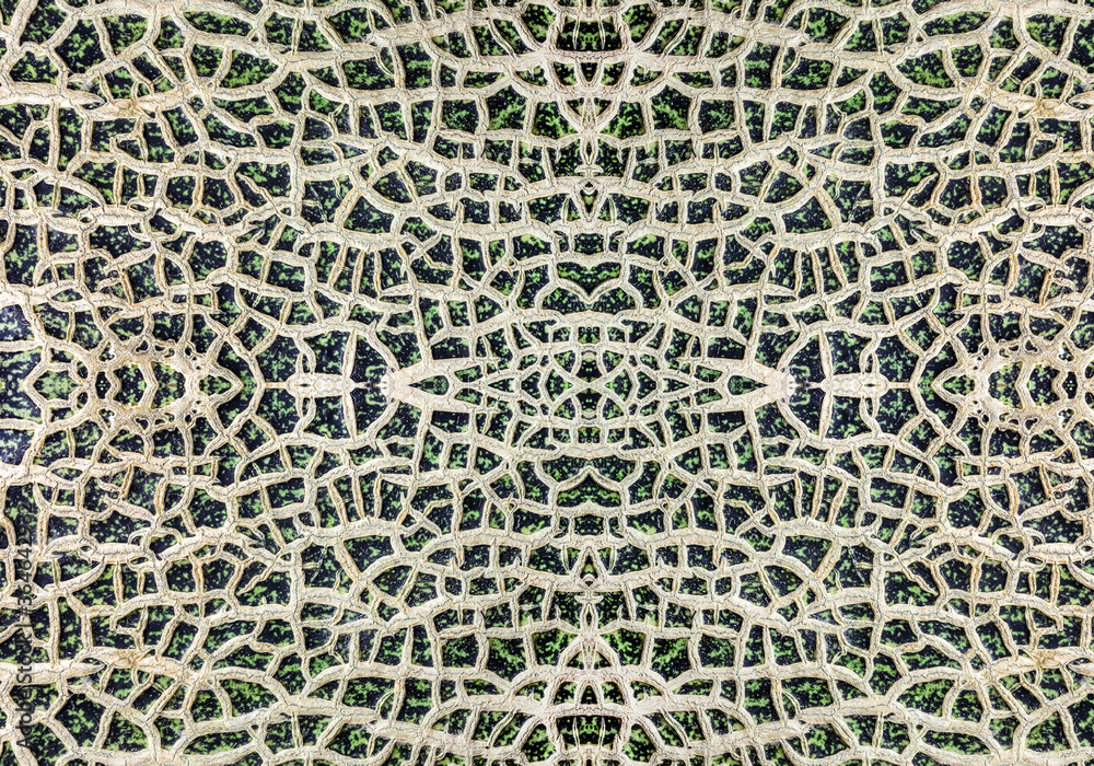 Fotografie Patterns and textures of a cantaloupe.