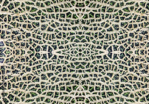 Fotografie Patterns and textures of a cantaloupe.