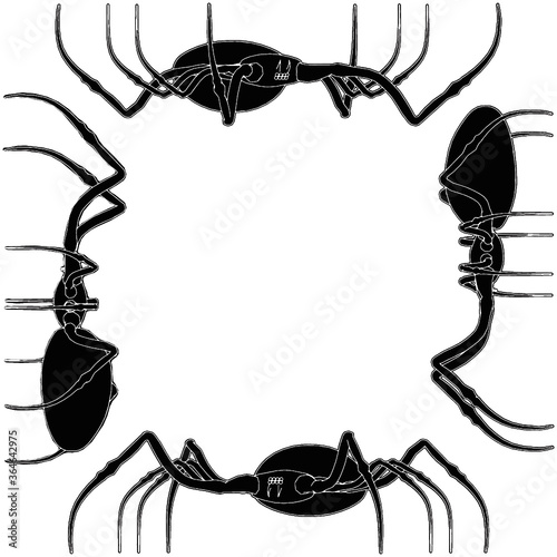 Spider Vector 