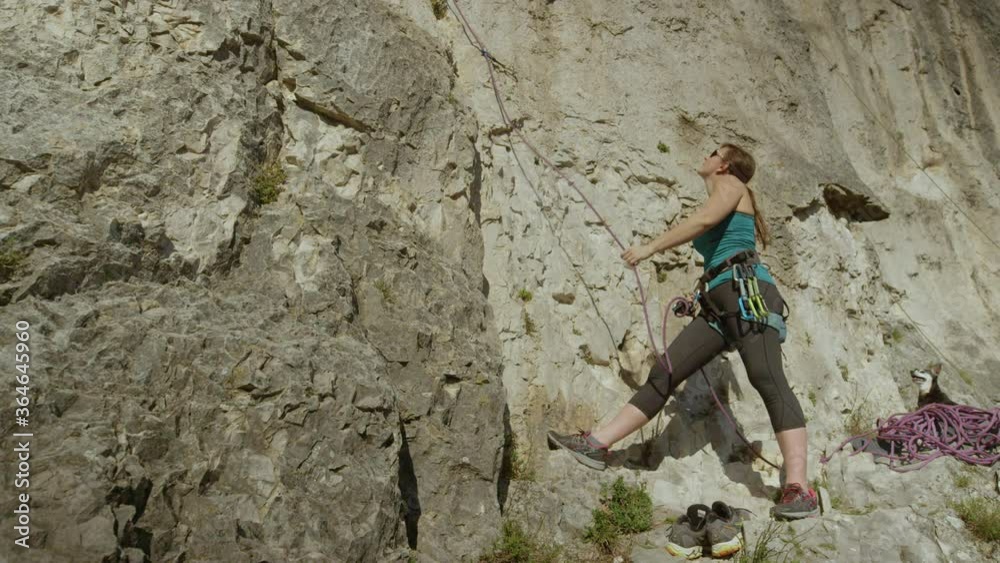 SLOW MOTION, CLOSE UP: Female climber belays her friend climbing up a difficult stone wall as her cute puppy calmly sits behind her and observes the climbers in action. Woman belaying a rock climber. SLOW MOTION, CLOSE UP: Female climber belays her friend climbing up a difficult stone wall as her cute puppy calmly sits behind her and observes the climbers in action. Woman belaying a rock climber.