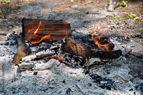 Closeup of campfire in nature