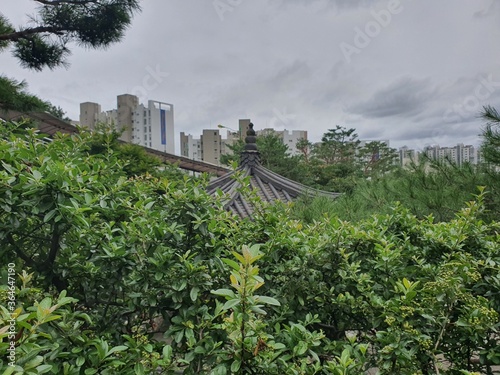 A gazabo in the park during cloudy summer day photo