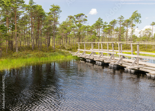 a wooden construction walking bridge in the middle of the swamp. View of the beautiful nature in the swamp a pond, conifers, moss, clouds and reflections in the water, Nigula Nature Reserve, Estonia