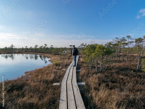 Tela a human figure on a wooden pedestrian footbridge in a swamp, traditional swamp