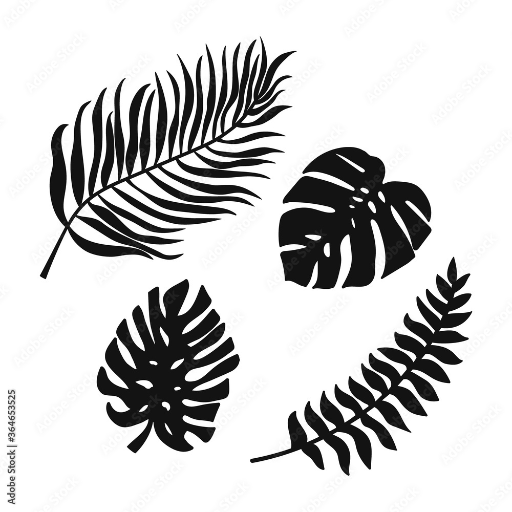 Obraz premium Doodle leaf of palm and monstera set icons isolated on white. Stencil leaves. Natutal collection. Vector stock illustration. EPS 10