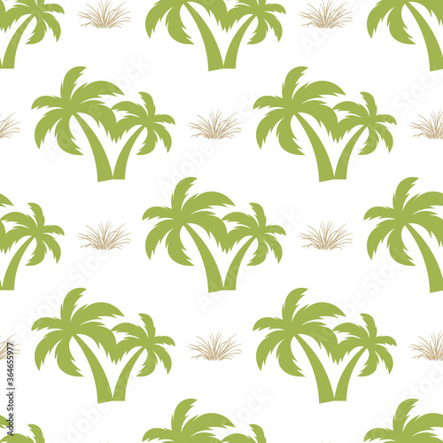 Palm tree. Seamless model on a white background.