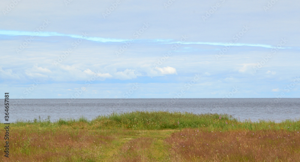 Summer landscape on the shore of the reservoir with green meadow grass, beautiful cloudy sky and green forest on the horizon.