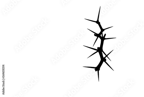 Фотография silhouette  black prickle thorn branch frame on white background , copy space ,