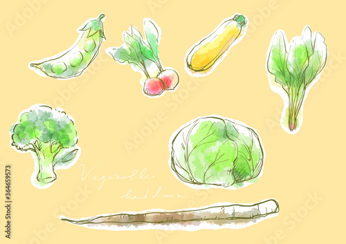 野菜のナチュラル手描きイラストセット①
