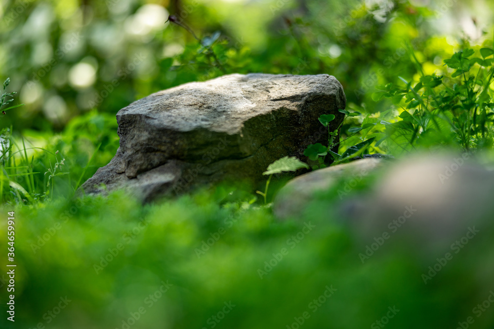 Large stone lying on the green grass, close-up, shallow depth of field, selective focus. Nature concept in kind