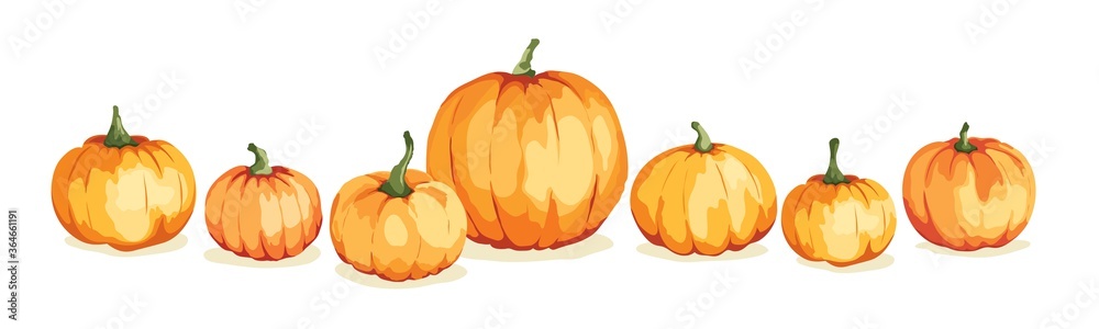 Obraz premium Watercolor pumpkins. Vector illustration in watercolor painting style. Background for Thanksgiving Day or harvest festival.