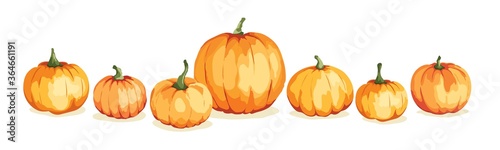 Watercolor pumpkins. Vector illustration in watercolor painting style. Background for Thanksgiving Day or harvest festival. photo