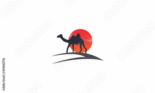 camel