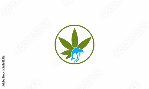 ocean cannabis